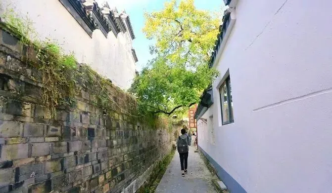 12fb5c74f15bbdc572c08ff2cf7dde61-sz_58909