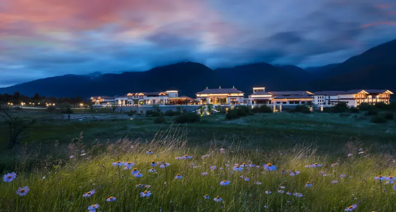 13019b4fc28d6623ff7a8cc84294f786-sz_484536