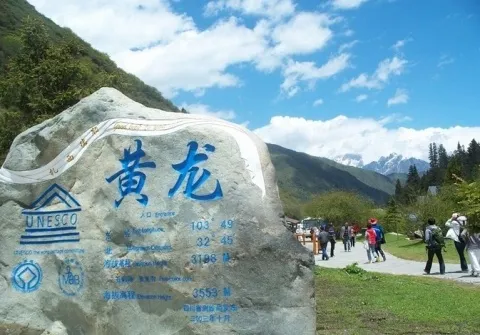 132cce68902cf40ba7fa262254596654-sz_80614