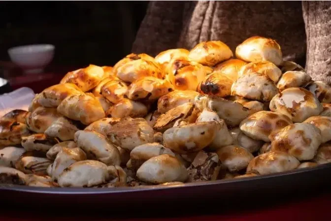 134b5da6909b7894d14f971827a0b3c9-sz_651021