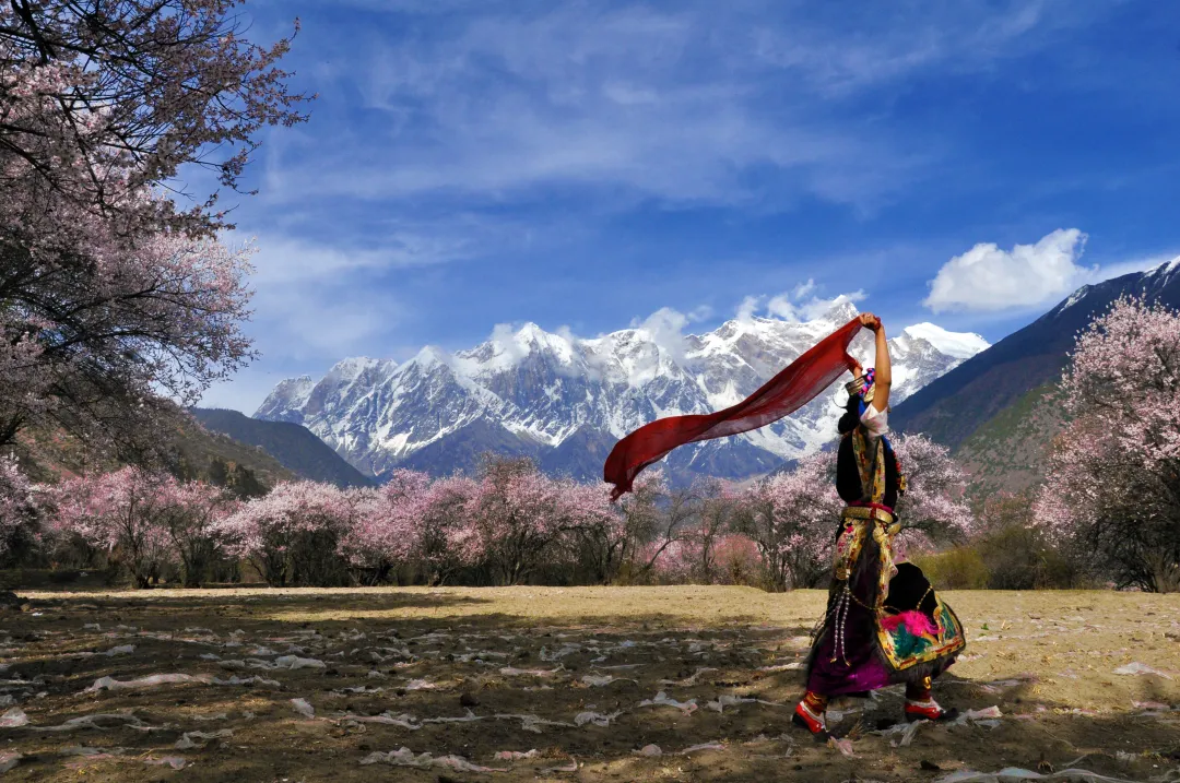 1360731ee1b677548e50f3602a71ec4a-sz_6873401