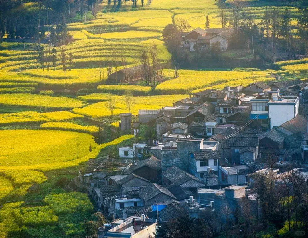 13916c8f6daa679aa1bbca7c6e2467ee-sz_3112593-1