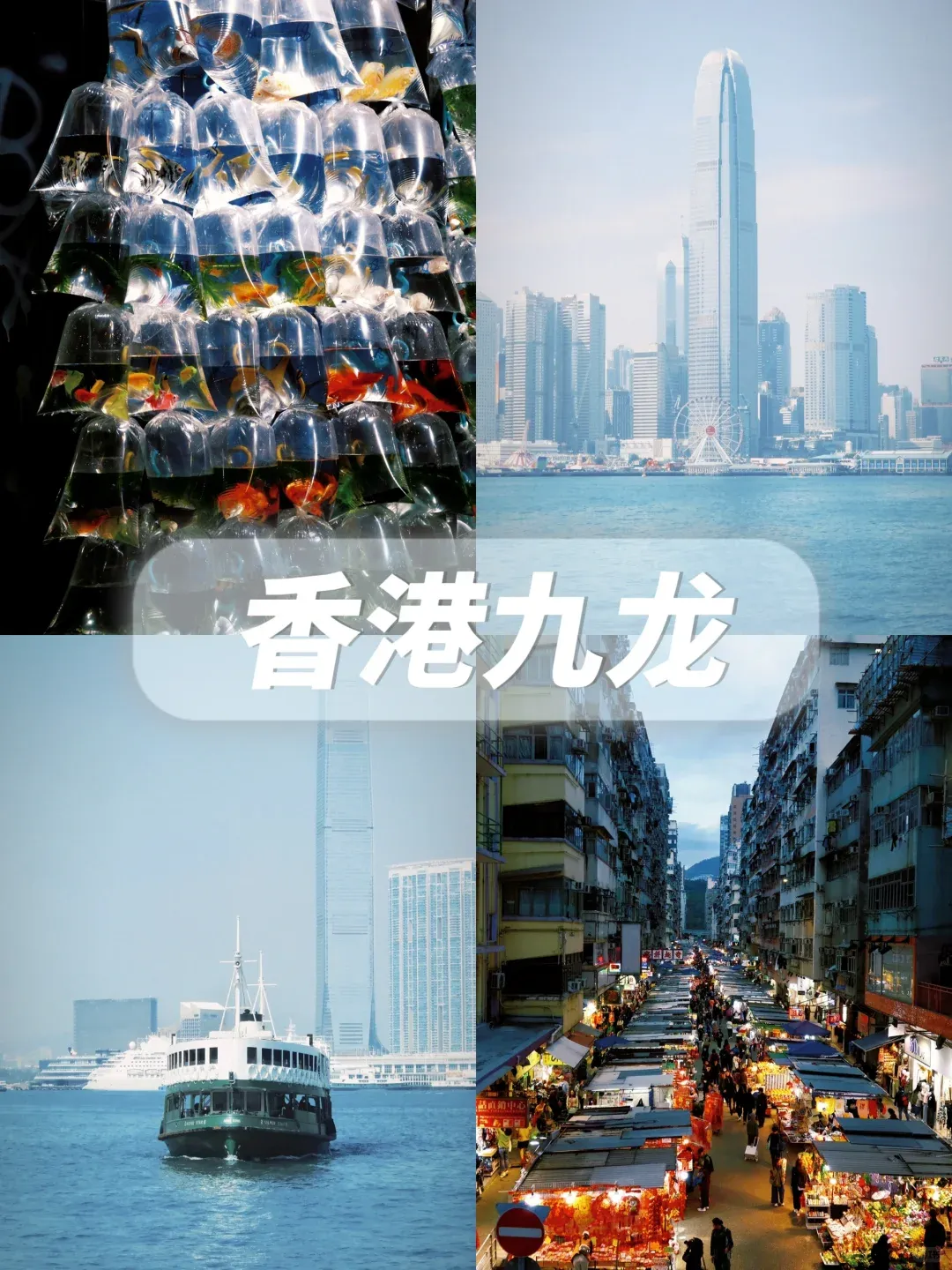 139b504778b31a53cae1ce44074afdf0-sz_2794422