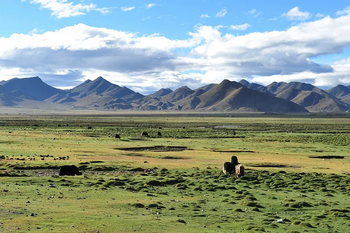 13c64ce0c7377fa8a6d1a3225b800109-sz_237755