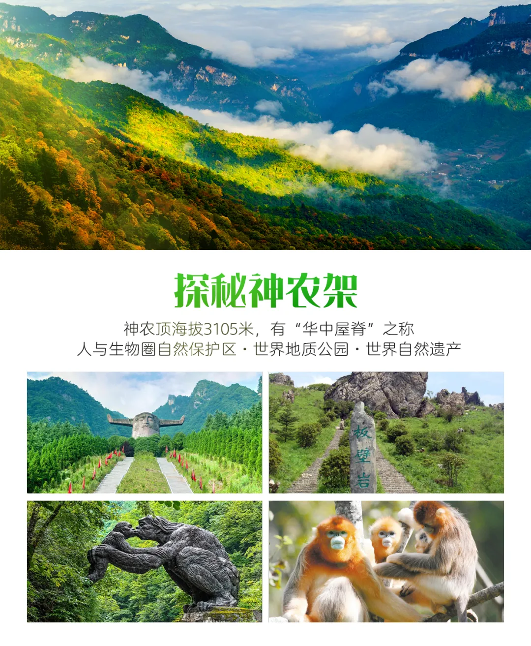 13d4cd4e55d57d15a3999dd8f5351f64-sz_3365727 13d4cd4e55d57d15a3999dd8f5351f64-sz_3365727