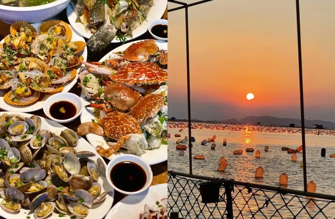 13fb88be68498b04590067a72f72dbb8-sz_443737