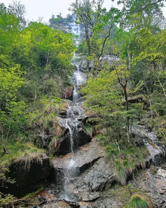 140dc26768197d266e206c19a7ac9c5c-sz_1139696