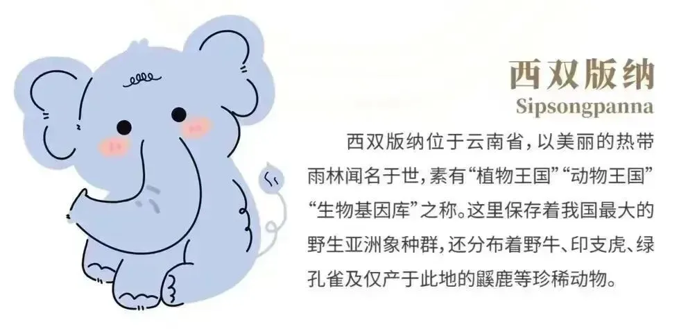 141e280d5011619f38aadc2c0481739a-sz_167910