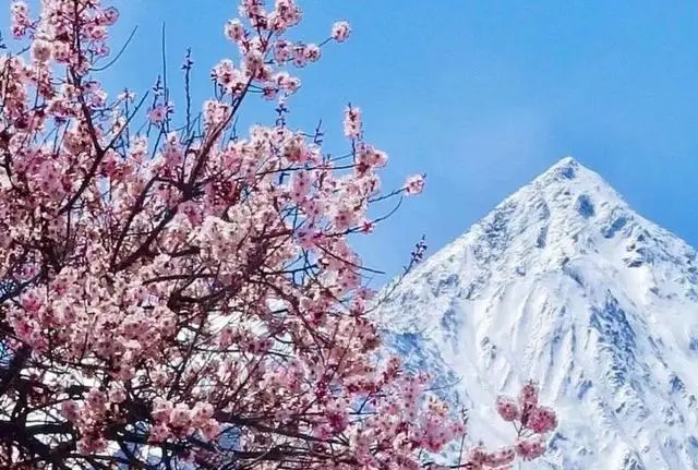 1424a7f45082630f7fdfa75c7ef97a61-sz_85541