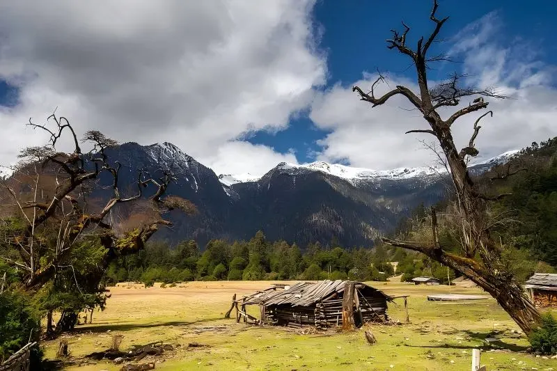 1432aa14822a0851eddcccbdae3ce7e5-sz_96459-1