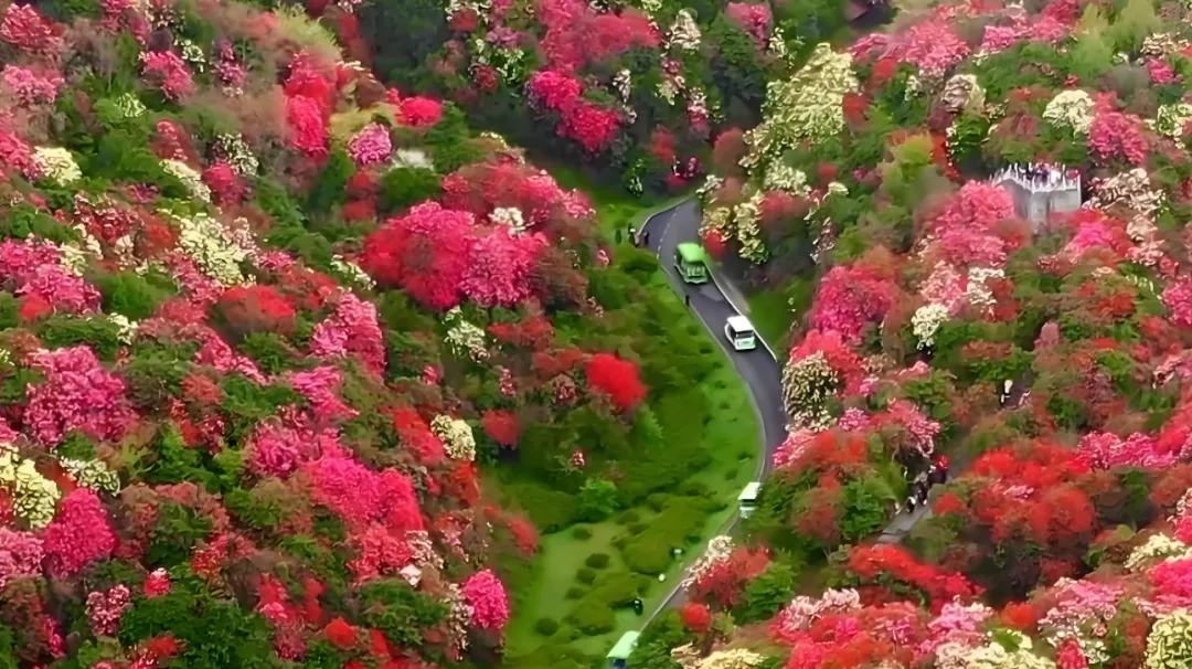 14512e5019a67b3393563e6e90cd1cb2-sz_2920864