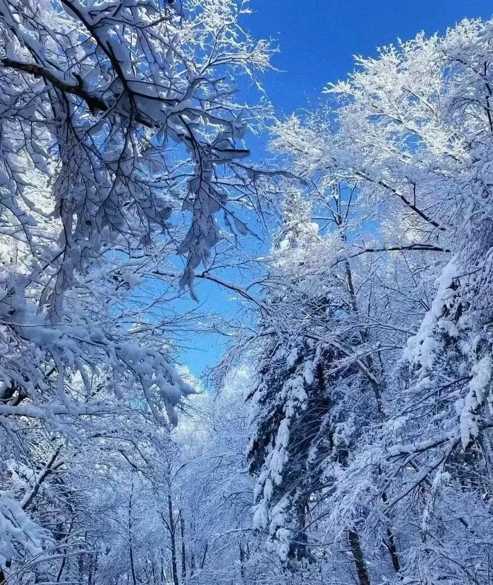 146baadc261199d8db35134d2136e8b4-sz_391193 146baadc261199d8db35134d2136e8b4-sz_391193