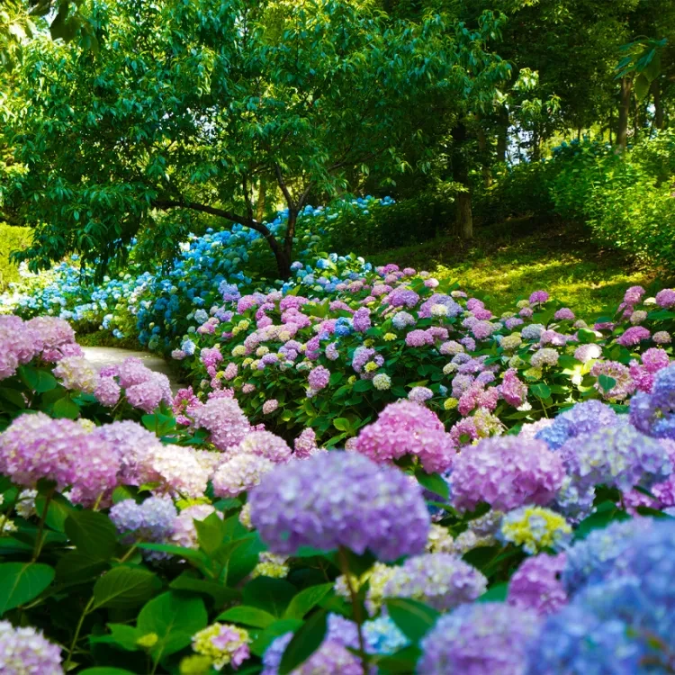 147cd8fa912f1fa05ba94384db10afbc-sz_1723122