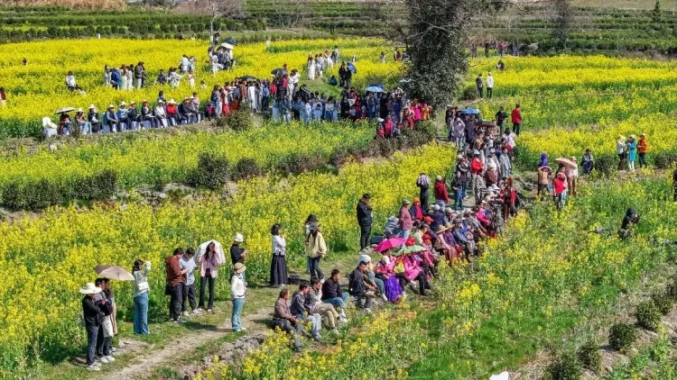 148917a09ca190e78792e146a3087974-sz_323974