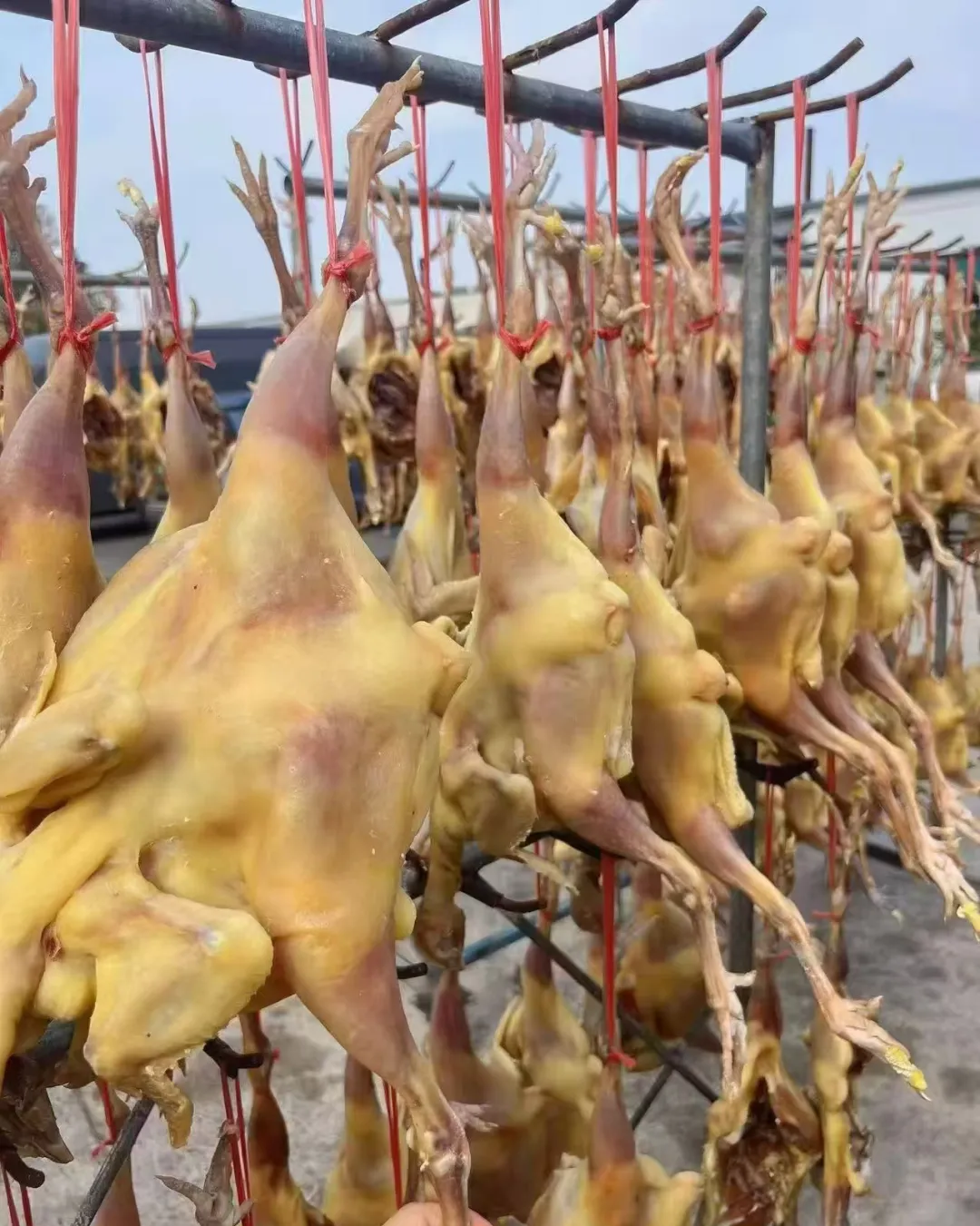 149ae93fe69e2f5b284cc4240fe24999-sz_1091684