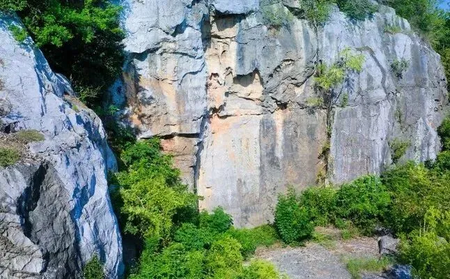 14b6df36cf87bb448f0ec1bf6a2c2252-sz_93188