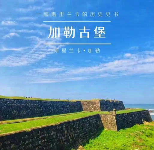 1514ea6765ad2a6a4ea1c23730231b6a-sz_41329