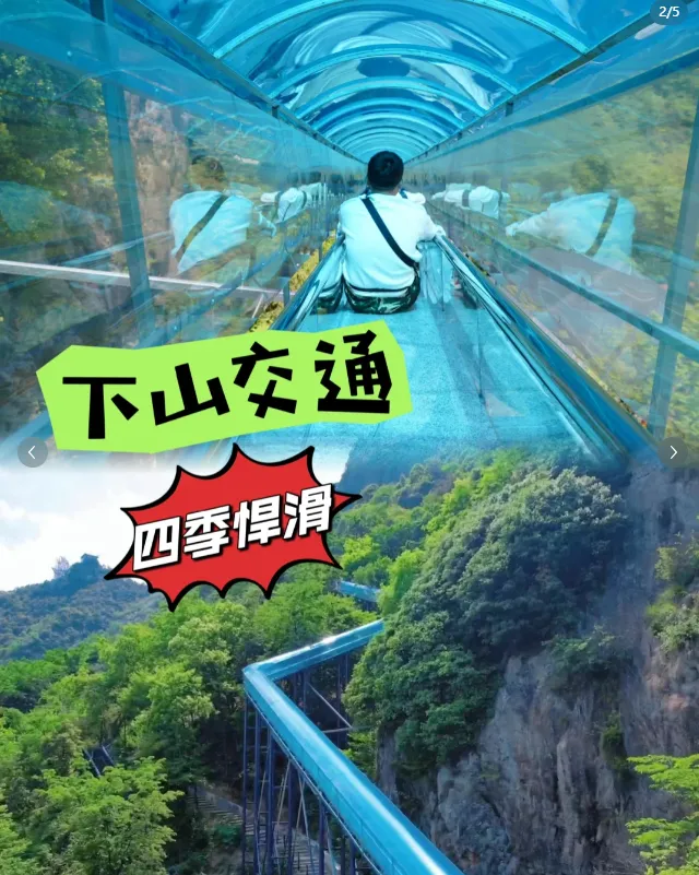 153234e6e09fb1401c19d8a7cc8c2a5b-sz_993403