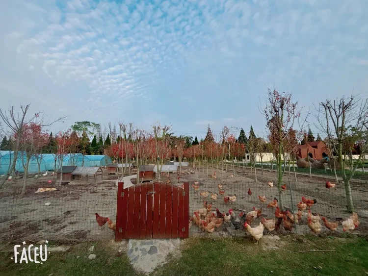 155ebdbc4e9d5acae6468392ef3b644e-sz_2080118