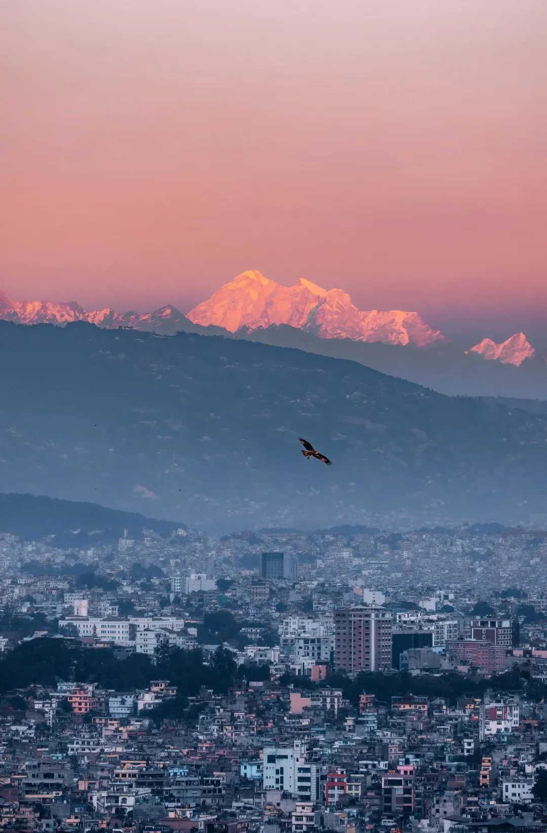 157df06b4b111ae74450c88e52d568fb-sz_327588