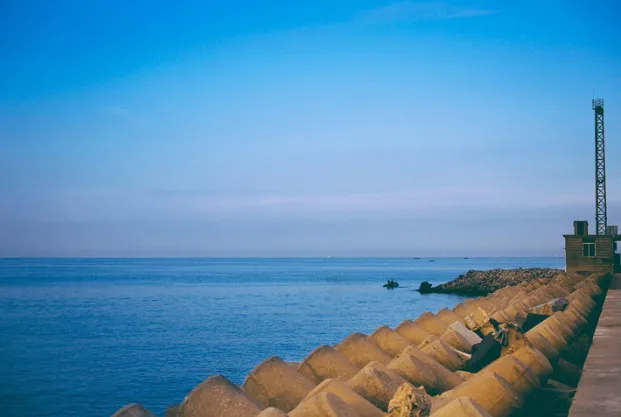 15829099c2f5fd9a4208b0c4142a2650-sz_564072-2