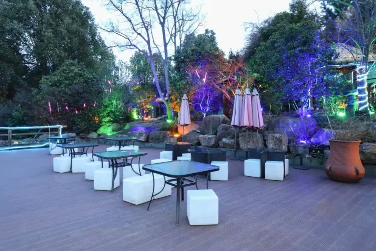 159c80a0b16473e734779cb4d4c2e762-sz_193024