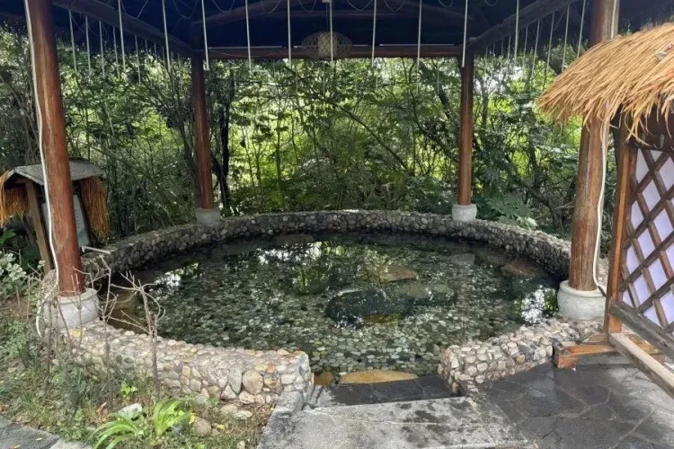 15f23df8a9ea692c838d65c0d3ab37a8-sz_189502