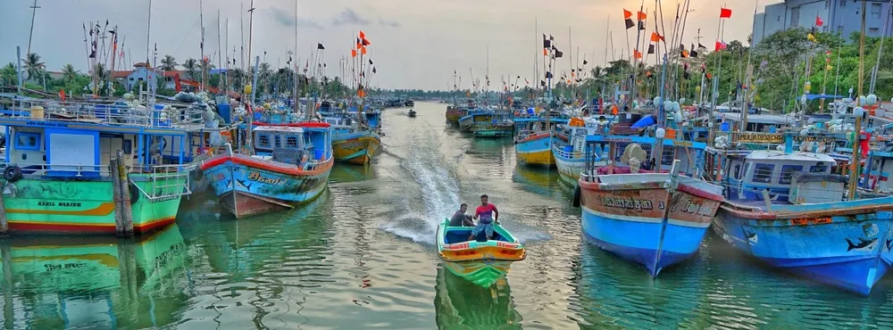 16227b04c3564973e98dc09193183302-sz_213817