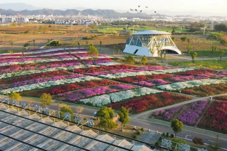 16977e6caa788d014da0b6567ba0caab-sz_177353