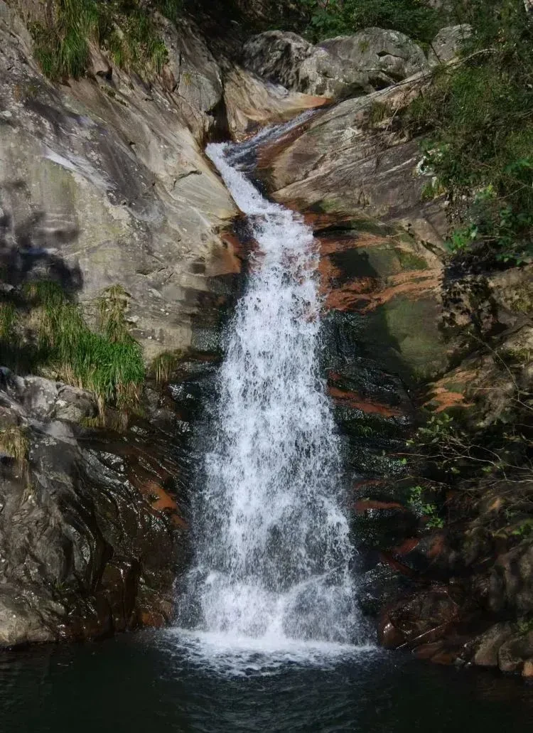 16a915c1b7a65e273a5a802fe5b92392-sz_180289