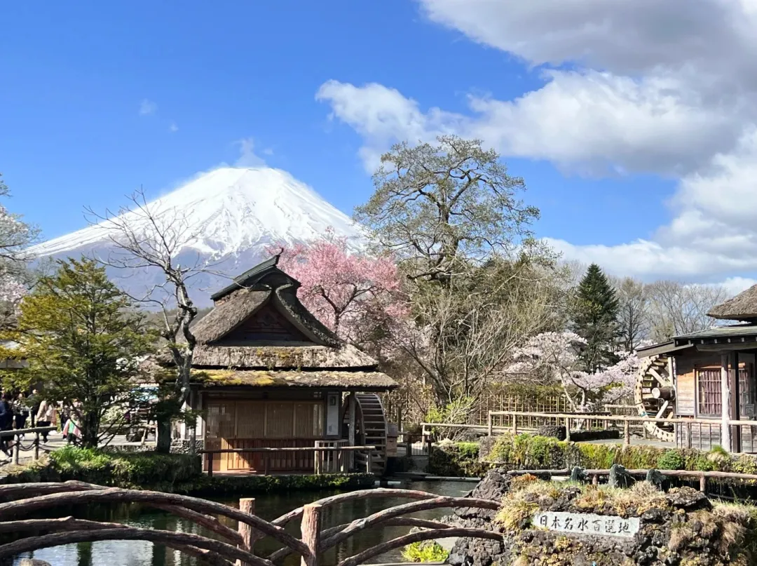 16f96acd8faa17c7085de3659b5fe19a-sz_532528-1