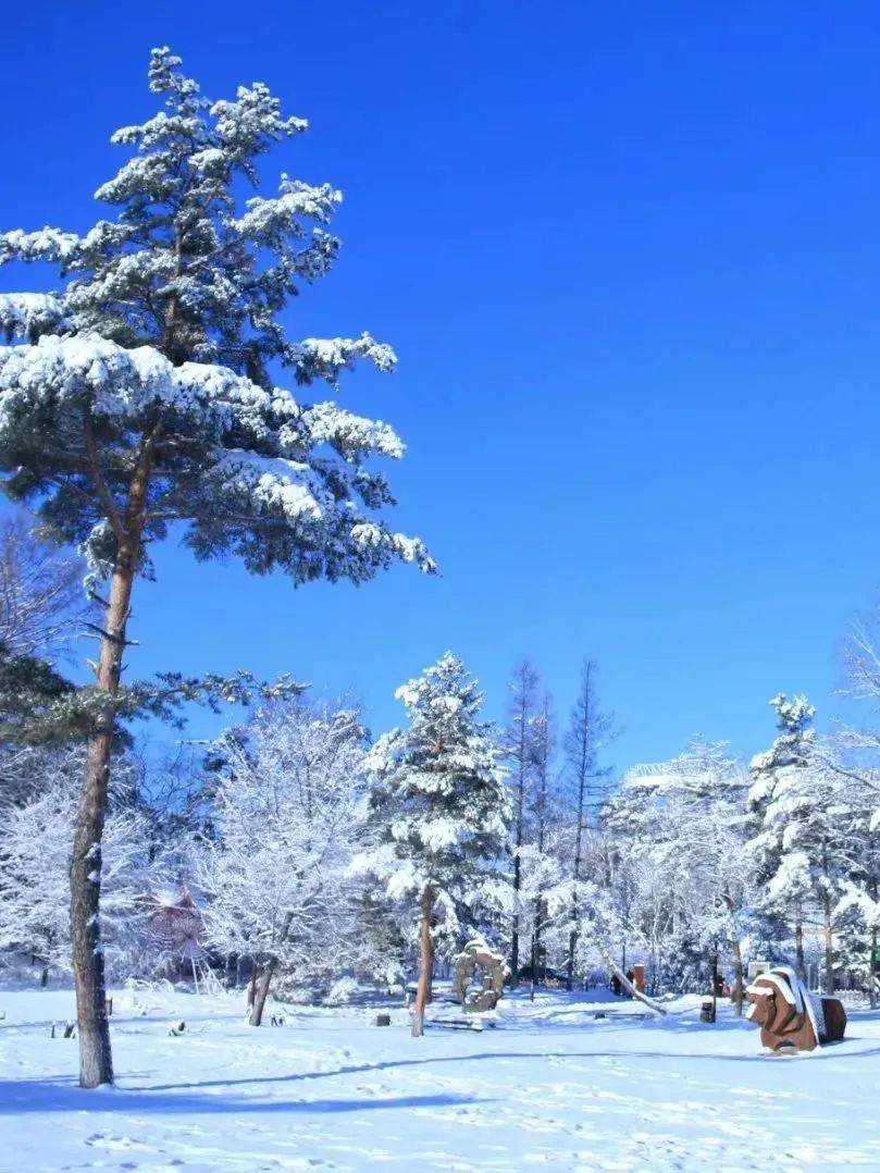 1726802625_1607879193