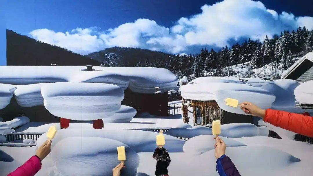 1726802635_1851516787