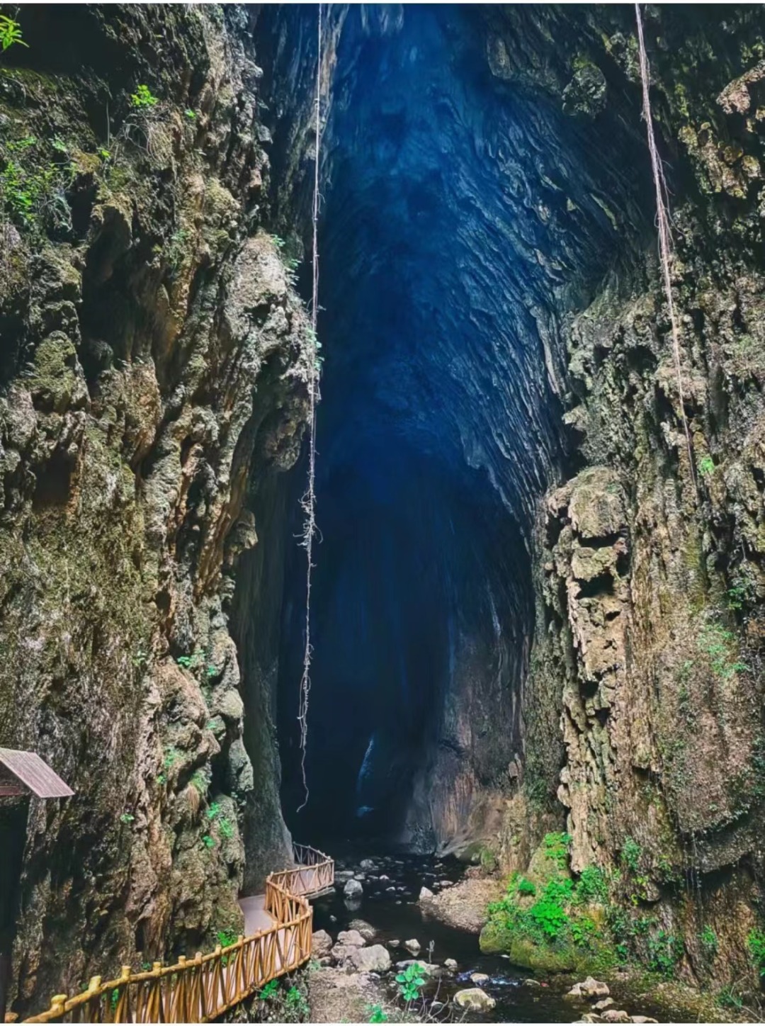 1744342338291_55HWTjXJ