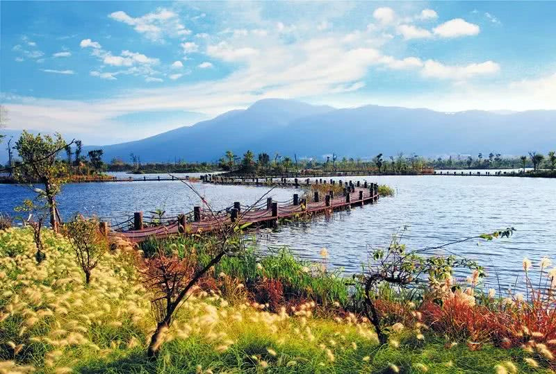 1744342338293_50MmDJNW