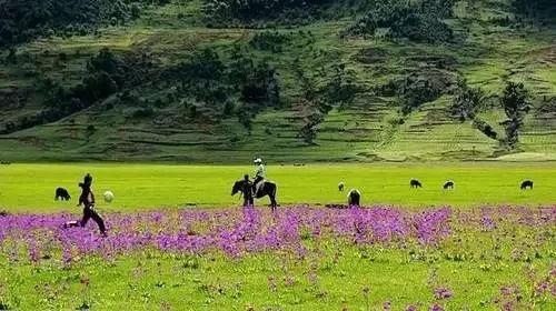 1744342338303_14Tfwkpz