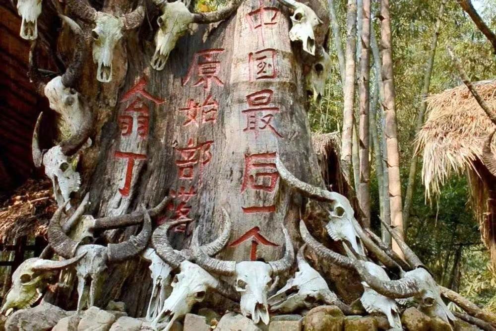 1752637564763_88nJYCcy