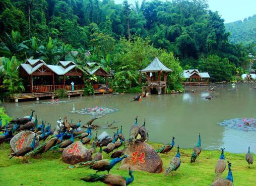 1752637564764_84cPxfXE