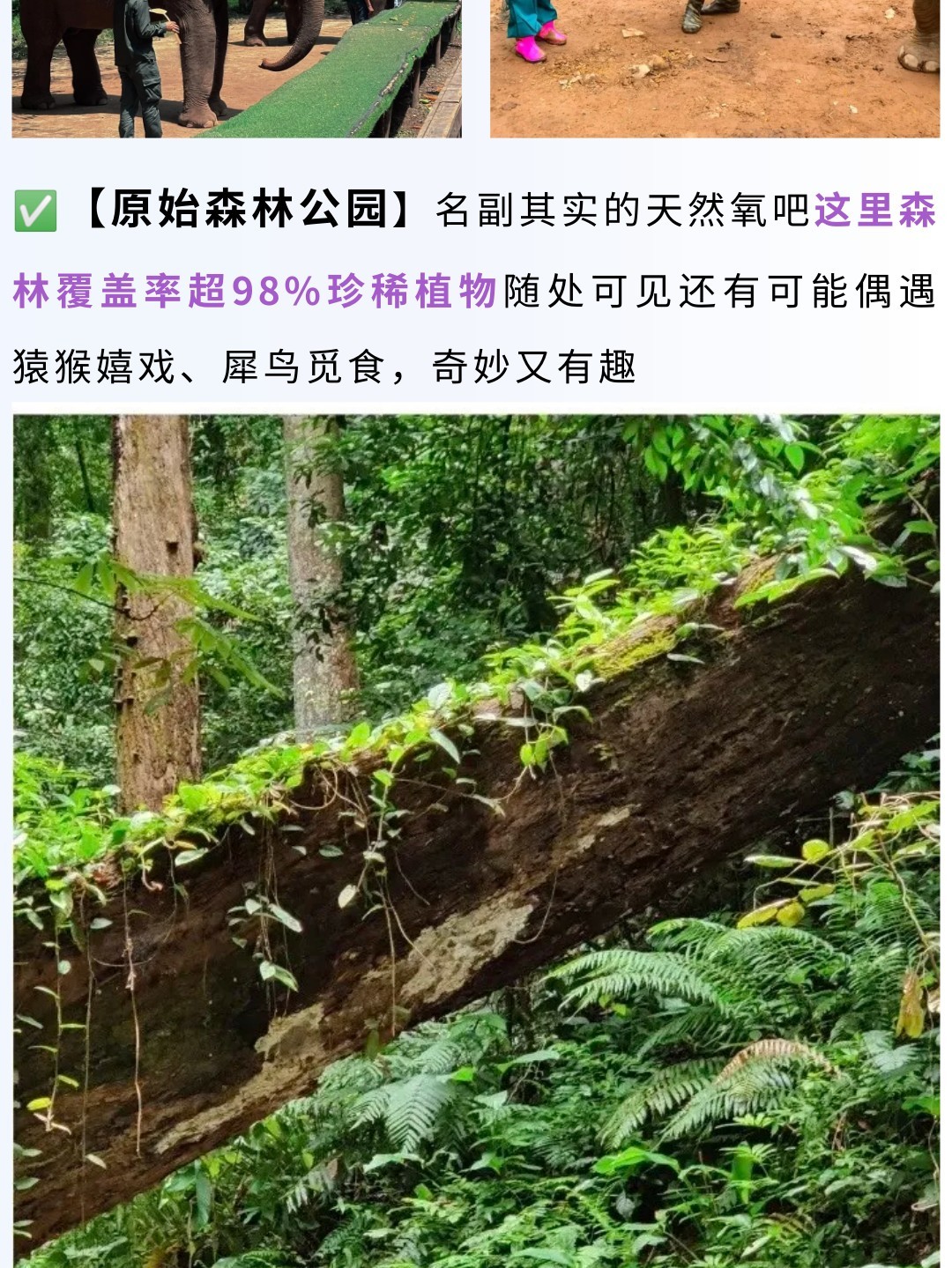 1752637564768_81f7HcEB