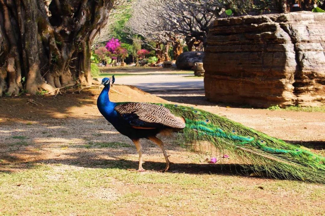 1752637564769_76becEQc