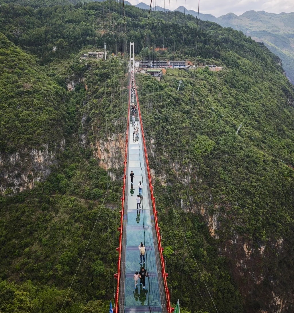 1752637564770_734Hs3kd