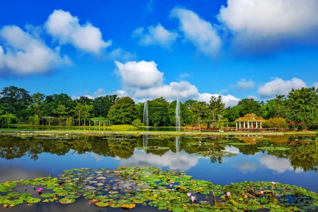 1752637564771_64wbPPMX