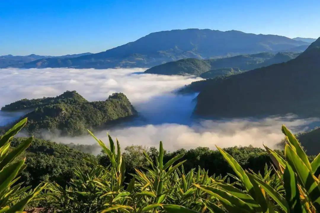 1752637564772_57DXRZxQ