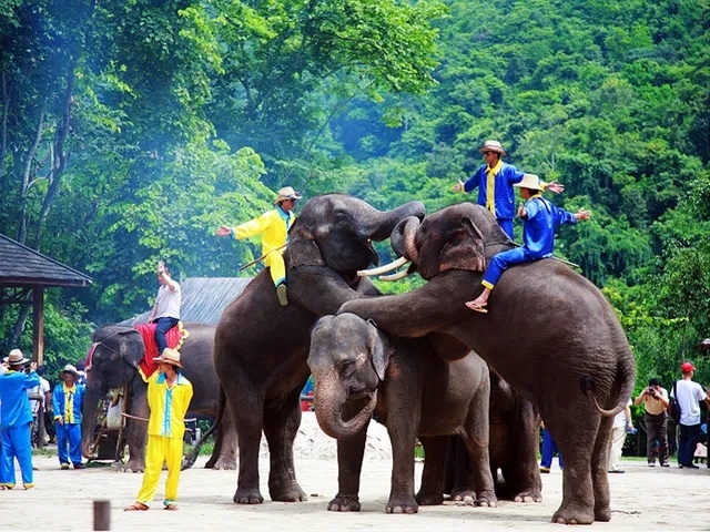 1752637564772_59z6CFDT