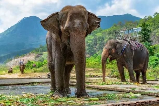 1752637564773_52wyaZ4X