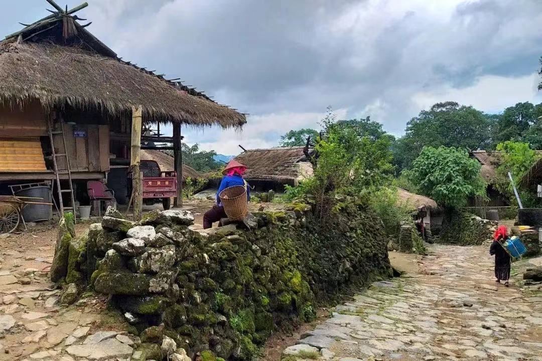 1752637564776_36anpJEj