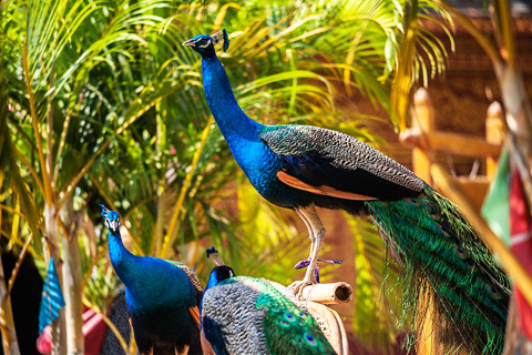 1752637564778_23HHzNy2