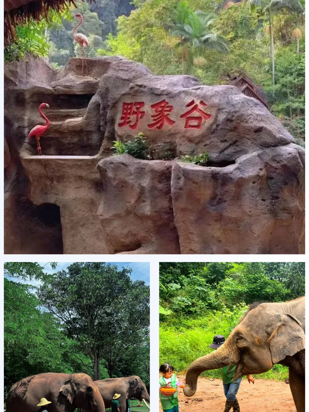 1752637564780_10R3fYd4