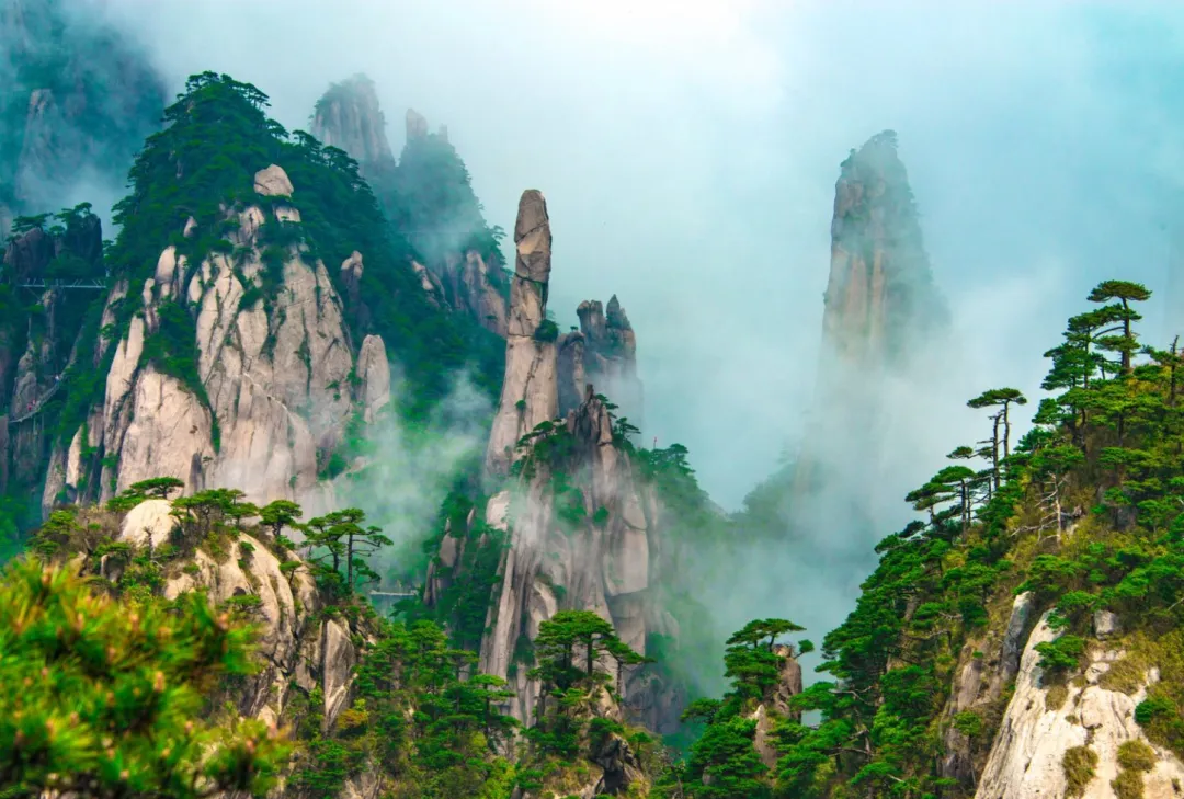 1753050d351e9e79d79685b78f2d43b7-sz_290505