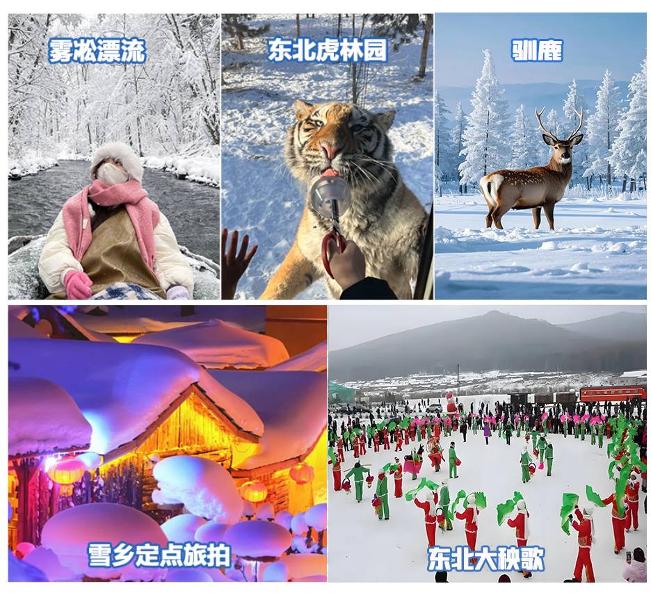 1758611602737xsmsafj